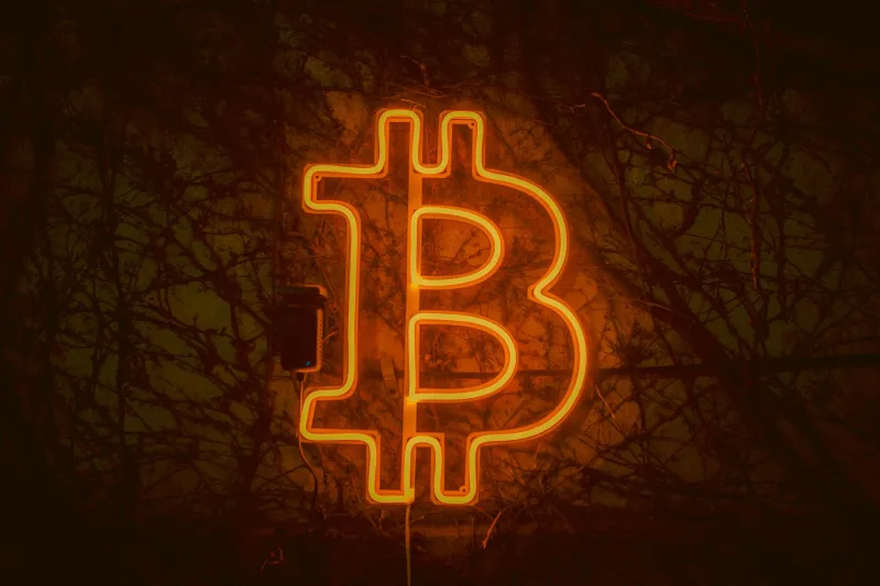 Embrace the Curse: How Forbidden Numbers Are Forging the Fiercest Loyalty in Crypto Gaming